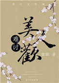 《难讨美人欢》封面