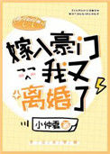 《嫁入豪门后我又离婚了》封面