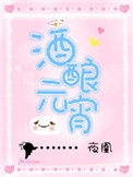 《酒酿元宵》封面