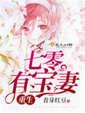 《重生七零有宝妻》封面