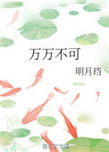 《万万不可》封面