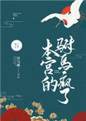 《本宫的驸马疯了》封面