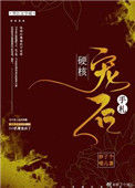 《硬核宠后手札》封面