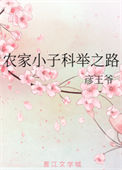 《农家小子科举之路》封面
