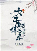 《太子妃佛系出走中》封面