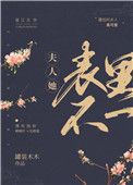《夫人她表里不一》封面