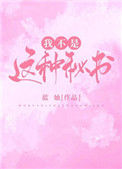 《我不是这种秘书！》封面