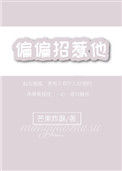 《偏偏招惹他》封面