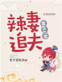 《重生九零辣妻追夫》封面