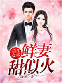 《重生九零：鲜妻甜似火》封面