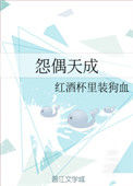 《怨偶天成》封面