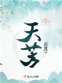 《天芳》封面