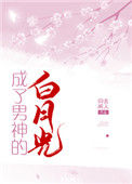 《成了男神的白月光》封面