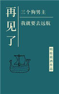 《再见了三位狗男主，我就要去远航》封面