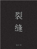 《裂缝[末世]》封面