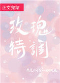 《玫瑰特调》封面