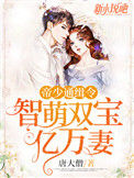 《帝少通缉令：智萌双宝亿万妻》封面