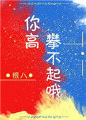 《你高攀不起》封面