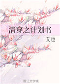 《清穿之计划书》封面