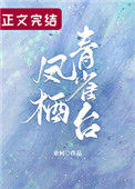 《凤栖青雀台[重生]》封面