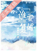 《谁要和你复婚》封面
