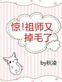 《惊！祖师又掉毛了》封面