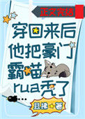 《穿回来后他把豪门霸喵rua秃了》封面
