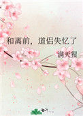 《和离前，道侣失忆了》封面