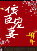《佞臣宠妻（双重生）》封面