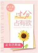 《过分占有欲》封面