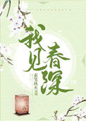 《我见春深（重生）》封面