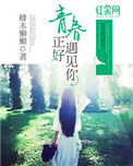 《青春正好遇见你》封面