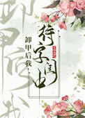 《卸甲后我待字闺中》封面