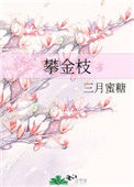 《攀金枝》封面