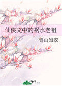 《仙侠文中的祸水老祖》封面