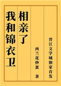《我和锦衣卫相亲了》封面