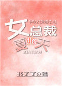 《女总裁的夏天》封面