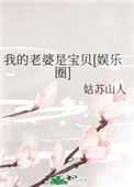 《我的老婆是宝贝[娱乐圈]》封面
