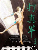 《打真军》封面