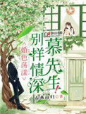 《别样情深慕先生》封面