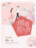《暖婚甜入骨》封面