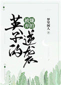 《被嫌弃的英子的逆袭》封面