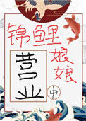 《锦鲤娘娘营业中》封面