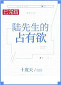 《陆先生的占有欲》封面