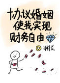 《协议婚姻使我实现财务自由》封面