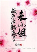 《把表小姐撩过火》封面