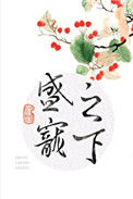 《盛宠之下（甜文）》封面