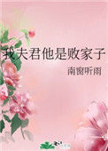 《我夫君他是败家子》封面