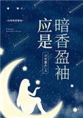 《应是暗香盈袖》封面