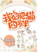 《我家肥猫四岁半》封面
